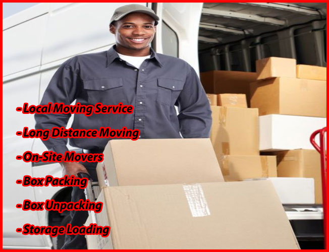 Packers And Movers Noida Sector 85